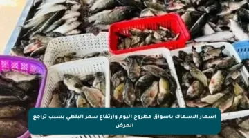أسعار الأسماك بأسواق مطروح اليوم وارتفاع سعر البلطي بسبب تراجع العرض